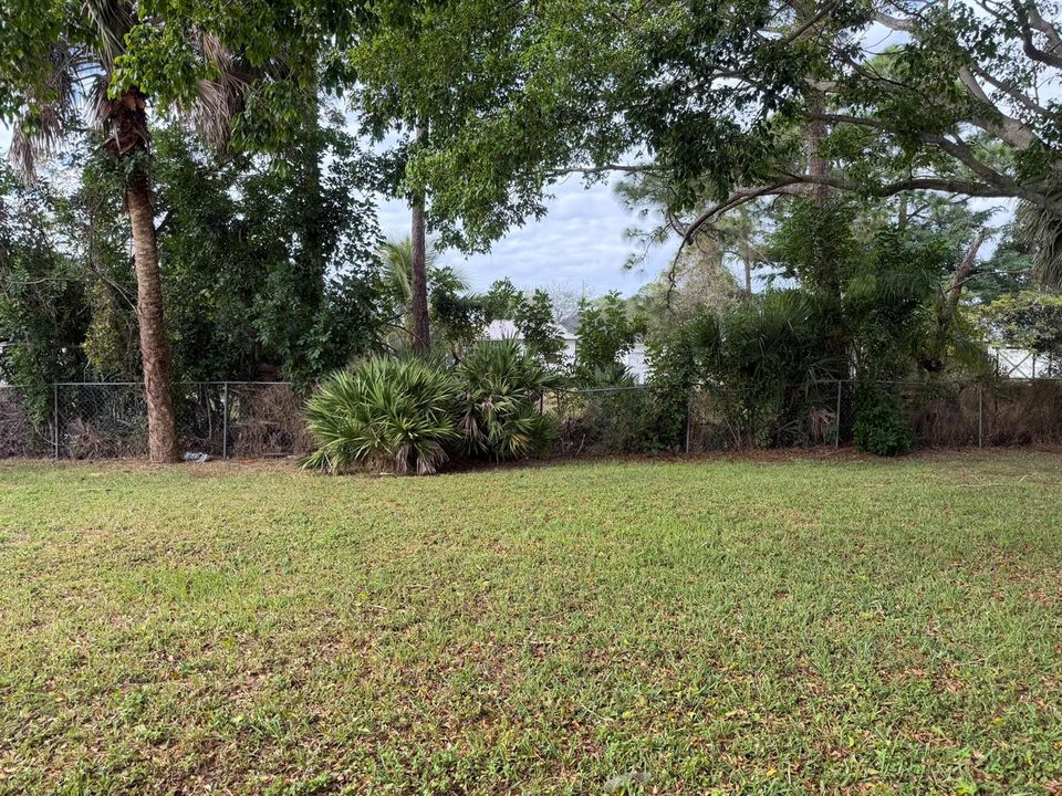 Fenced Yard
