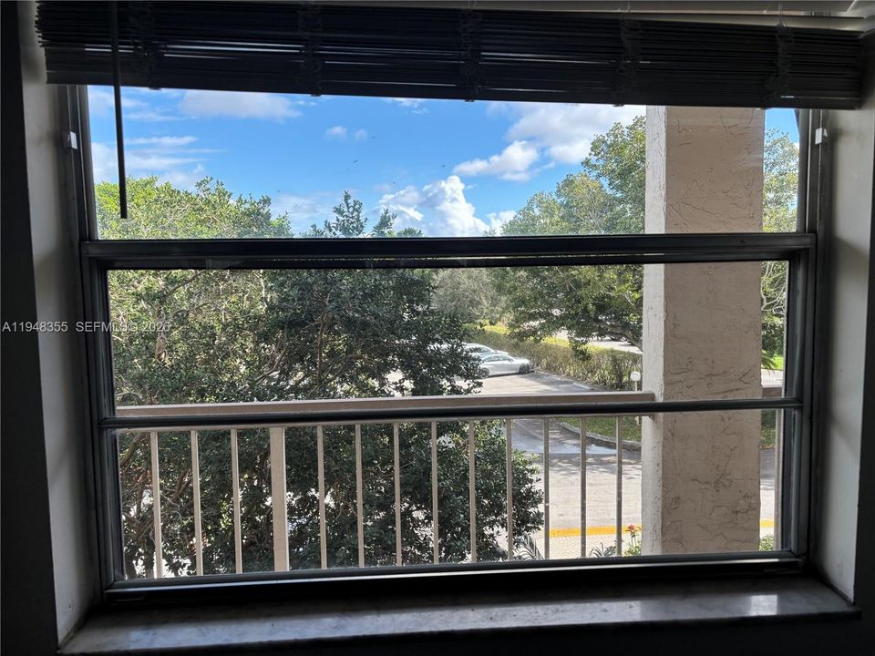 Kitchen window