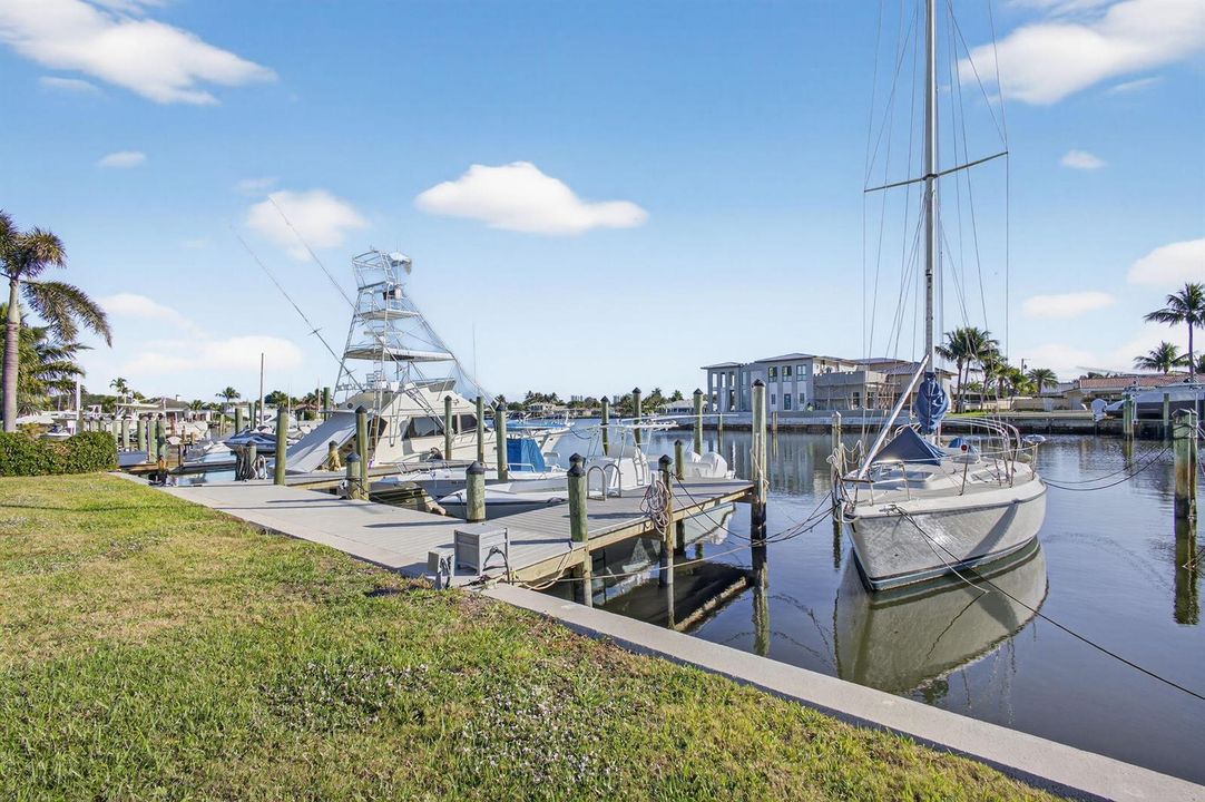 50-web-or-mls-5P1A2231