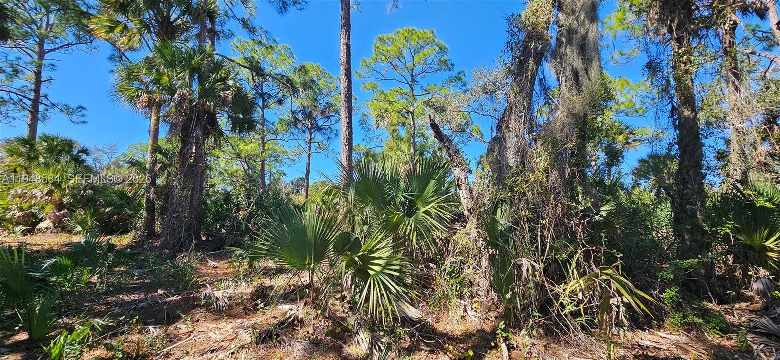 For Sale: $17,000 (0.23 acres)