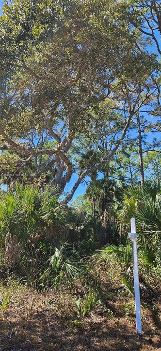 For Sale: $17,000 (0.23 acres)