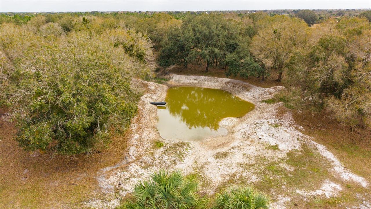 COLLIER Property_14