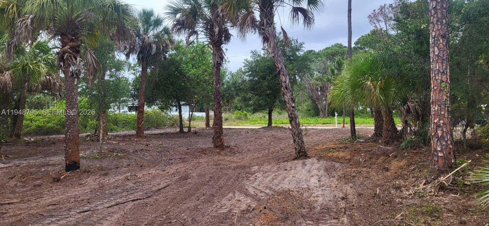 For Sale: $39,900 (0.26 acres)