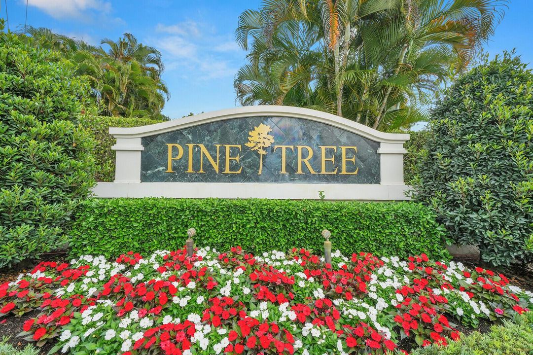 Pine Tree Country Club Estates