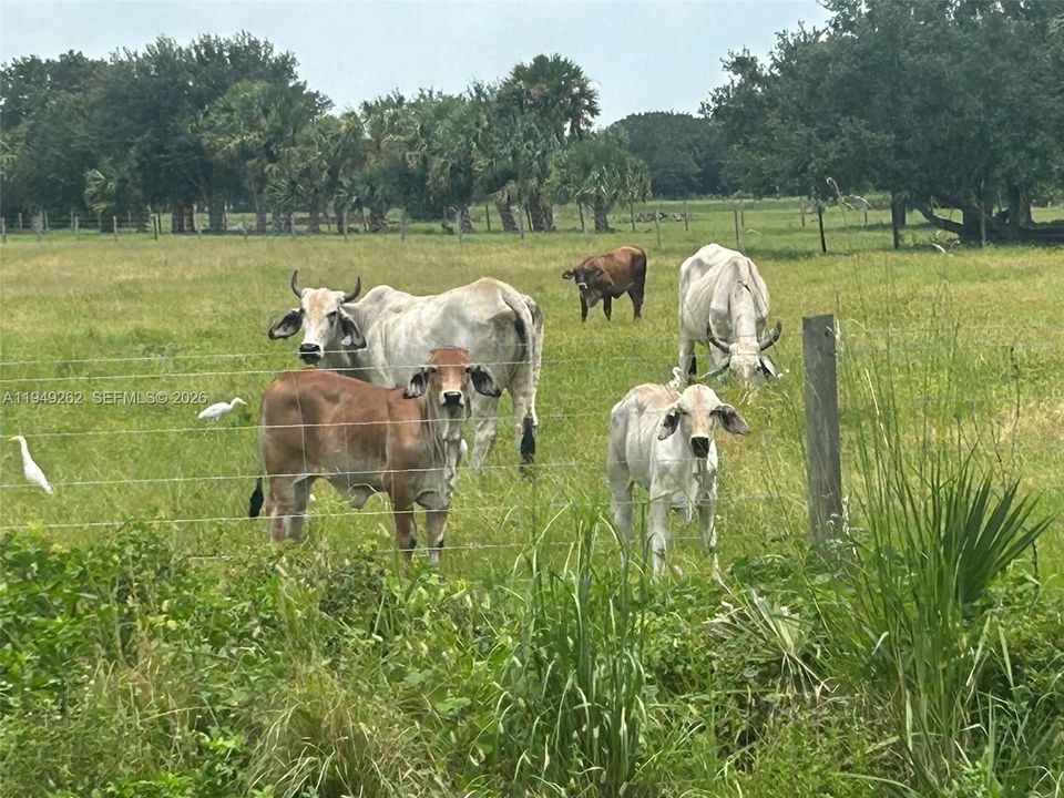 En Venta: $675,000 (0 camas, 0 baños, 0 Pies cuadrados)