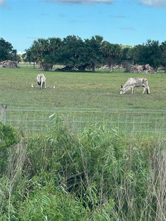 En Venta: $675,000 (0 camas, 0 baños, 0 Pies cuadrados)
