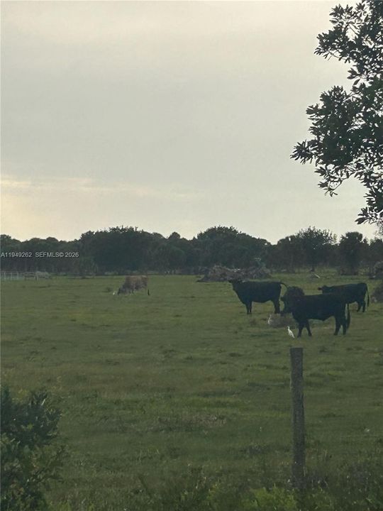 En Venta: $675,000 (0 camas, 0 baños, 0 Pies cuadrados)