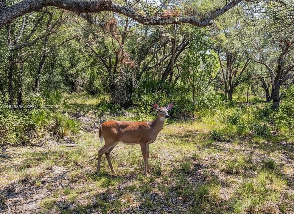 На продажу: $625,000 (25.00 acres)