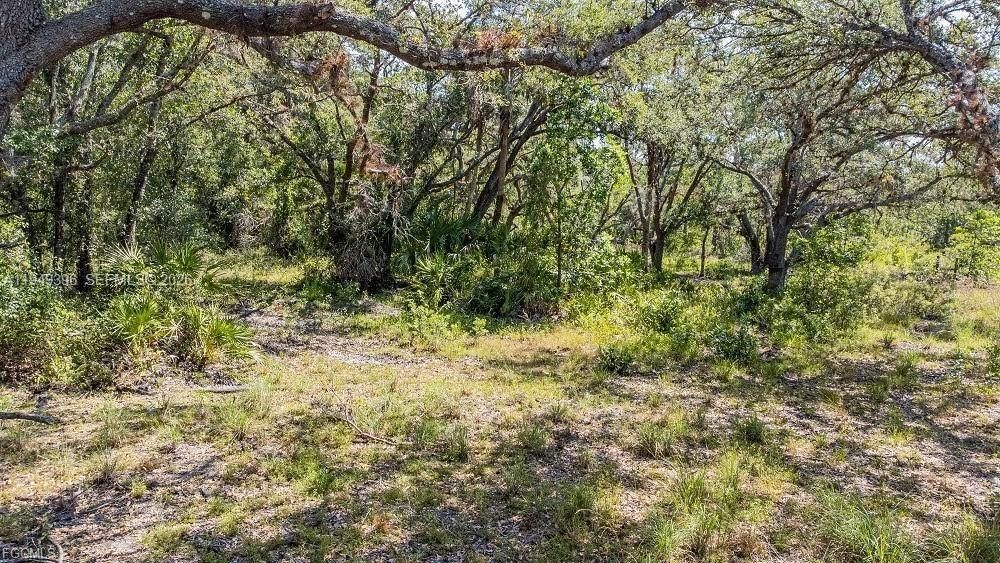 На продажу: $625,000 (25.00 acres)