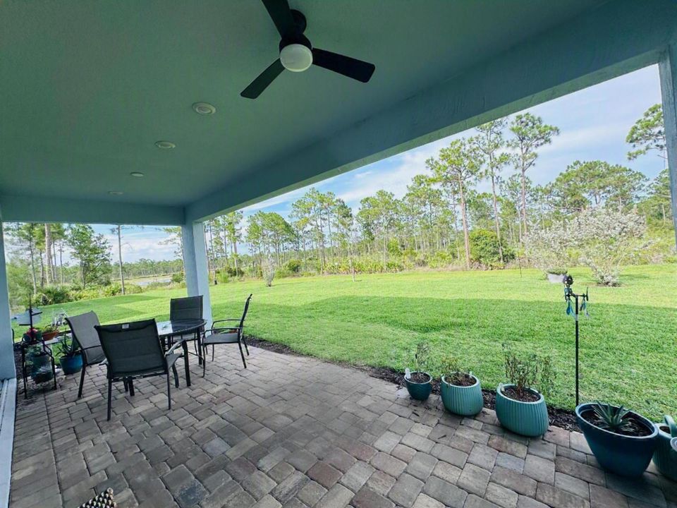 Backyard View East