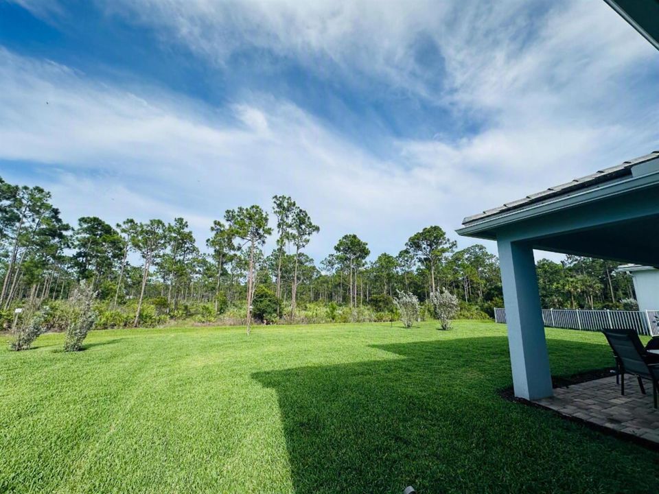 Wide open private yard
