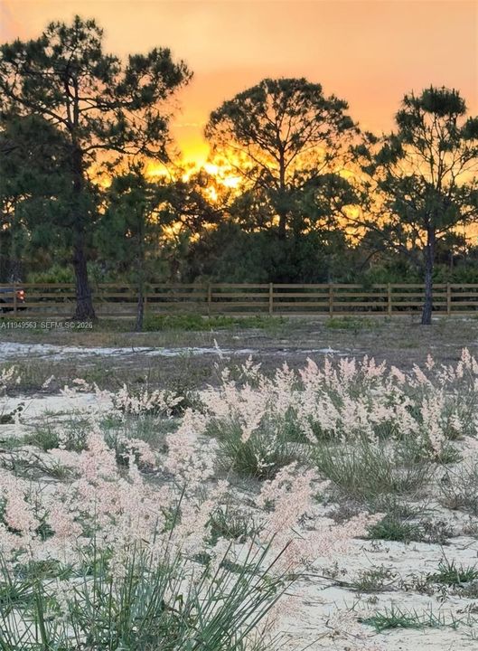 For Sale: $98,000 (1.25 acres)
