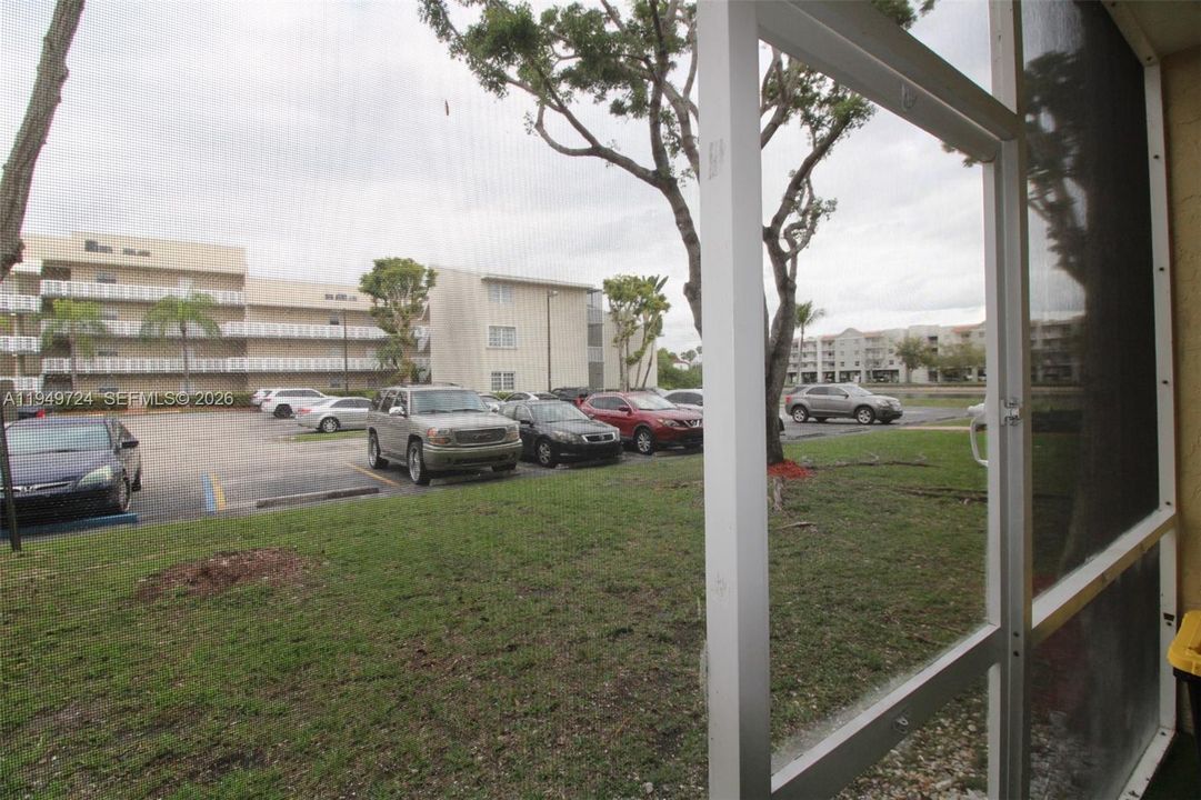 Back view from screen patio