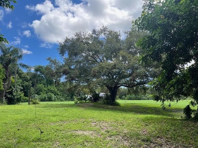 3 acre Live oak east view