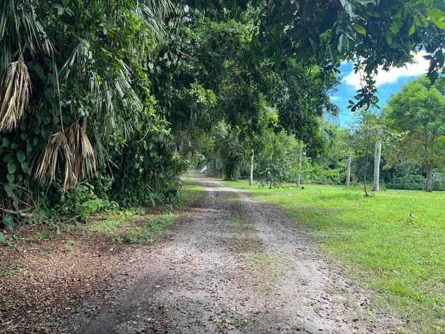 3 acre 20' easement north view