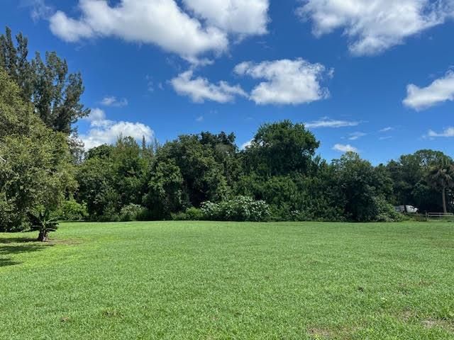 3 acre north view of woods