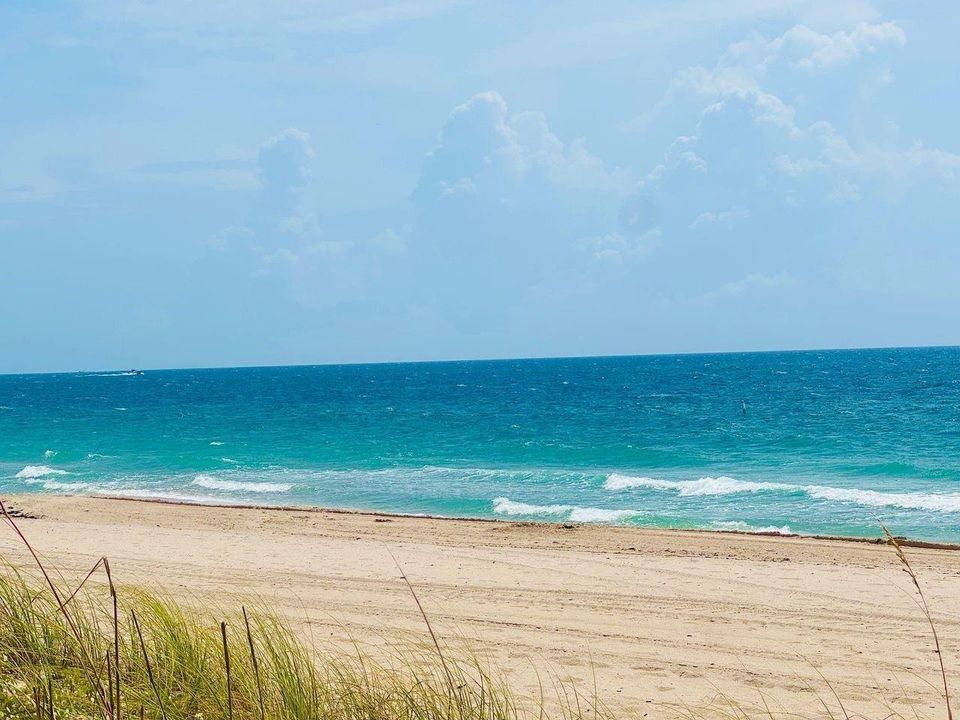 Your Beach