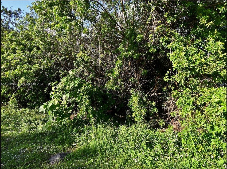 En Venta: $37,000 (0.16 acres)