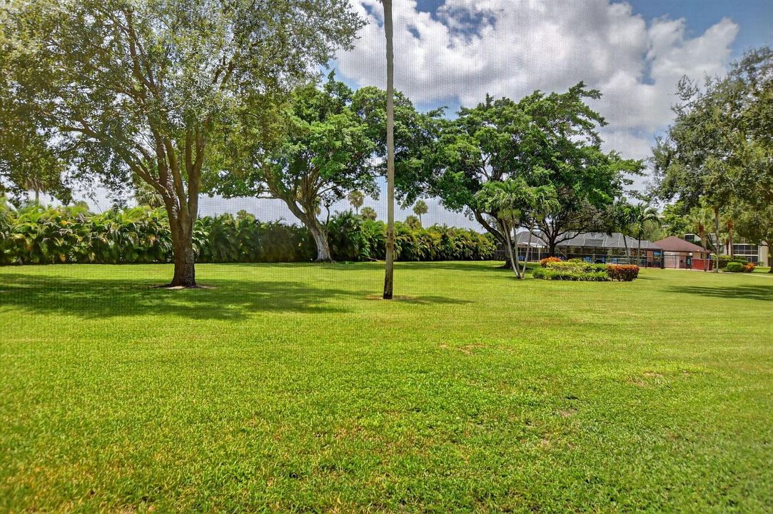 View from patio
