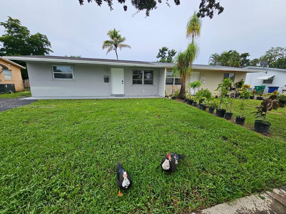 En Venta: $400,000 (3 camas, 1 baños, 979 Pies cuadrados)