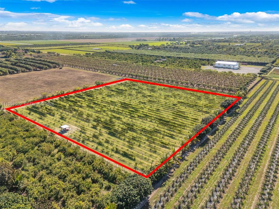 En Venta: $799,000 (0 camas, 0 baños, 0 Pies cuadrados)
