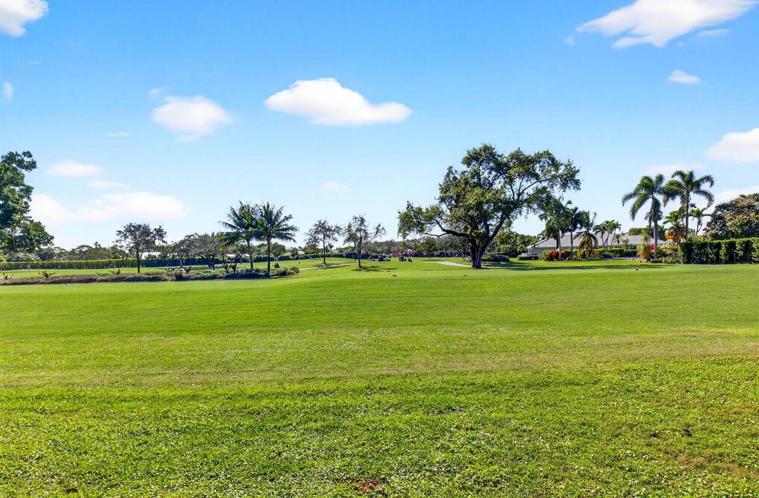 golf view