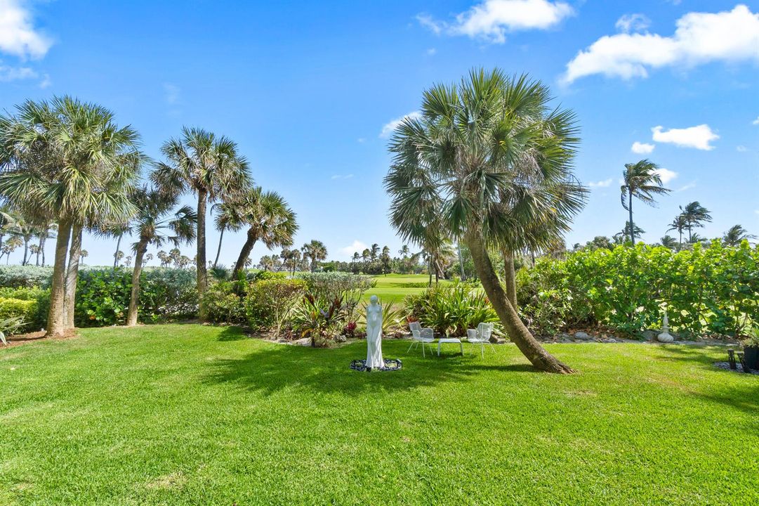 back yard