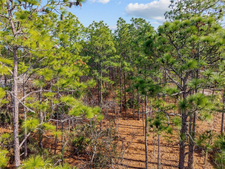 На продажу: $75,000 (1.04 acres)