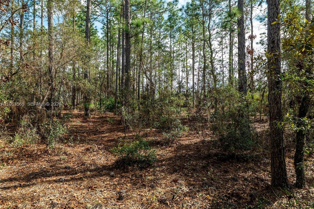 На продажу: $75,000 (1.04 acres)