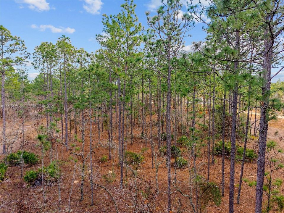 На продажу: $75,000 (1.04 acres)