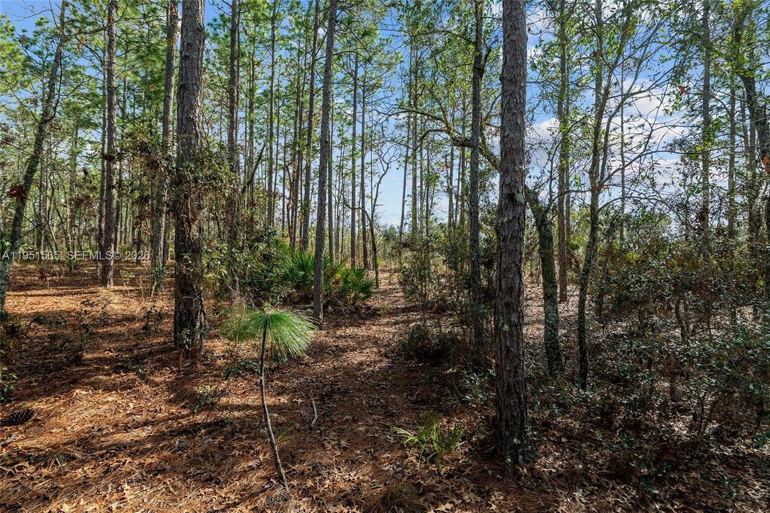 На продажу: $75,000 (1.04 acres)