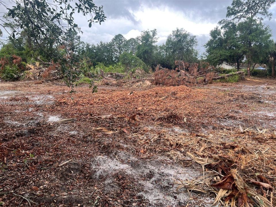 For Sale: $65,000 (1.00 acres)