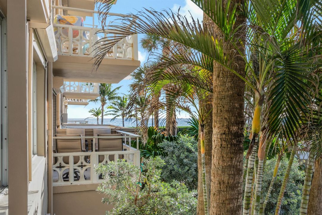 170 N Ocean Blvd Unit 207 Palm-print-014