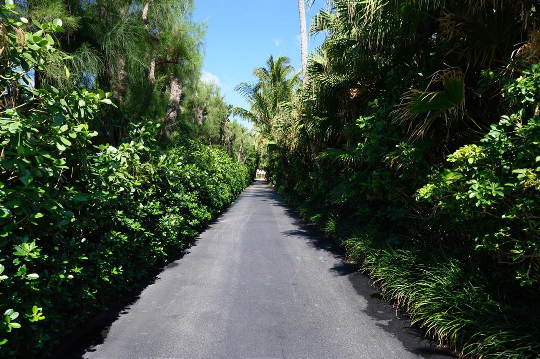 170 N Ocean Blvd Apt 412 Palm-print-002-