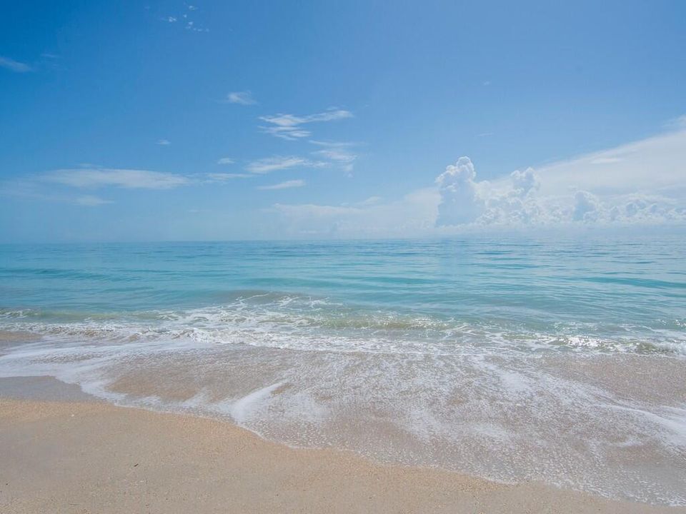 Image00008