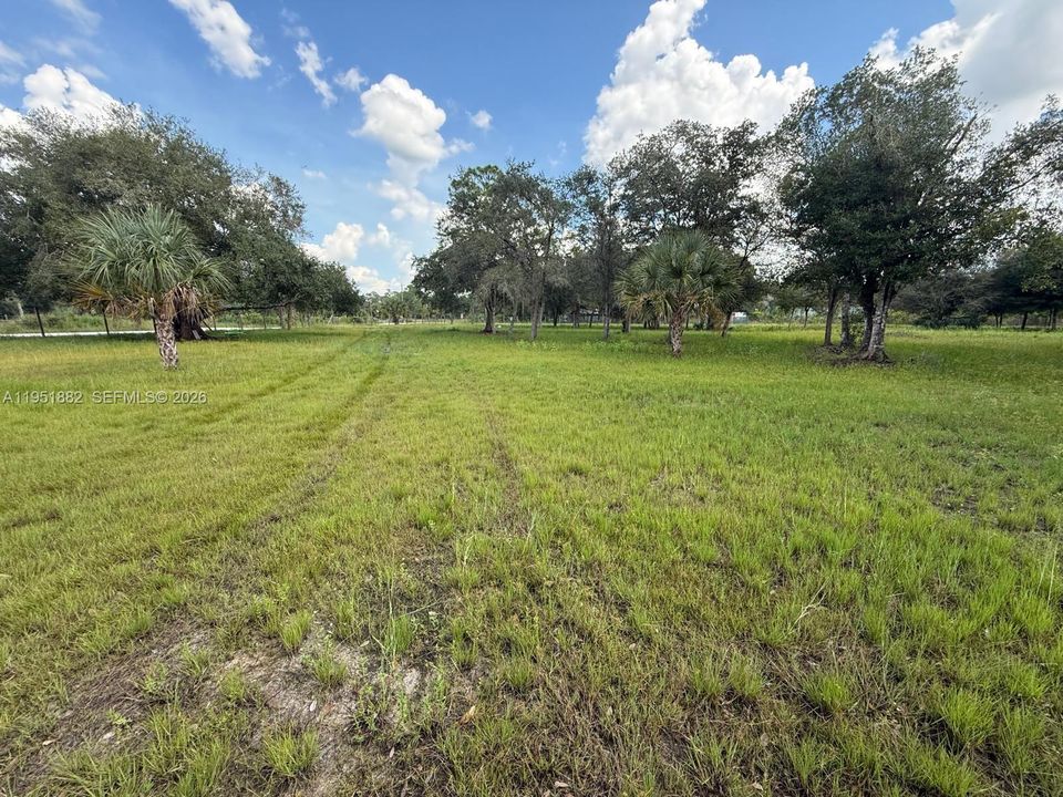 Недавно продано: $62,500 (1.09 acres)
