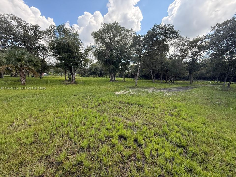 Недавно продано: $62,500 (1.09 acres)