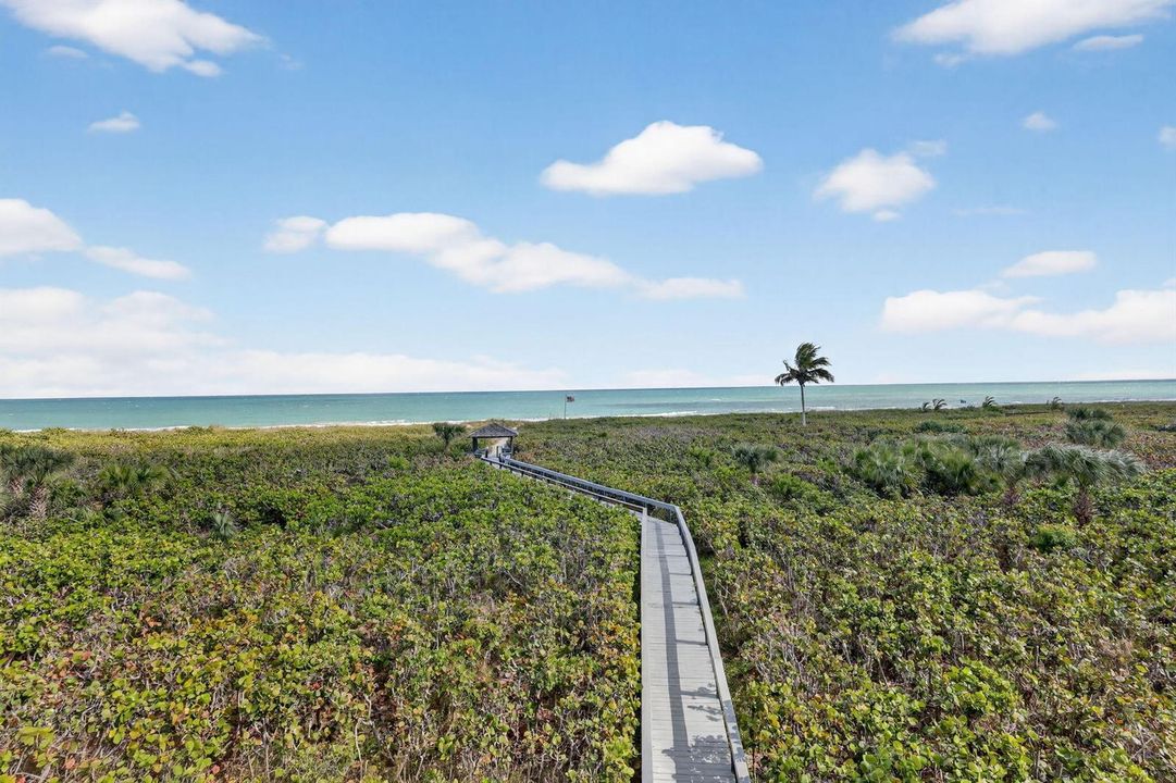 25-web-or-mls-5P1A4942
