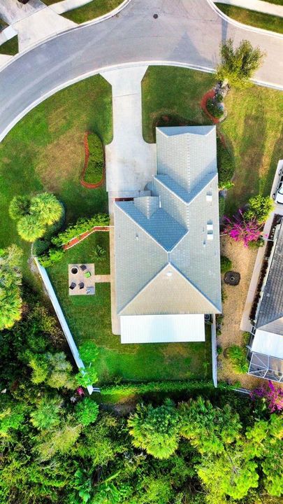 Top Aerial View