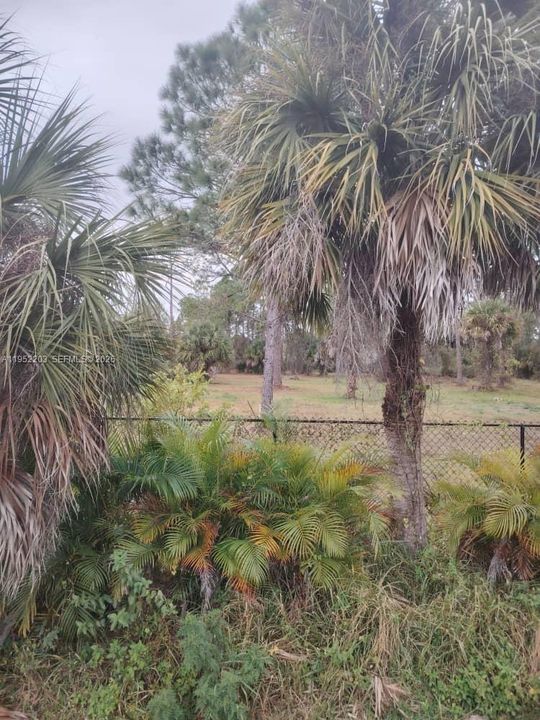 На продажу: $175,000 (2.50 acres)