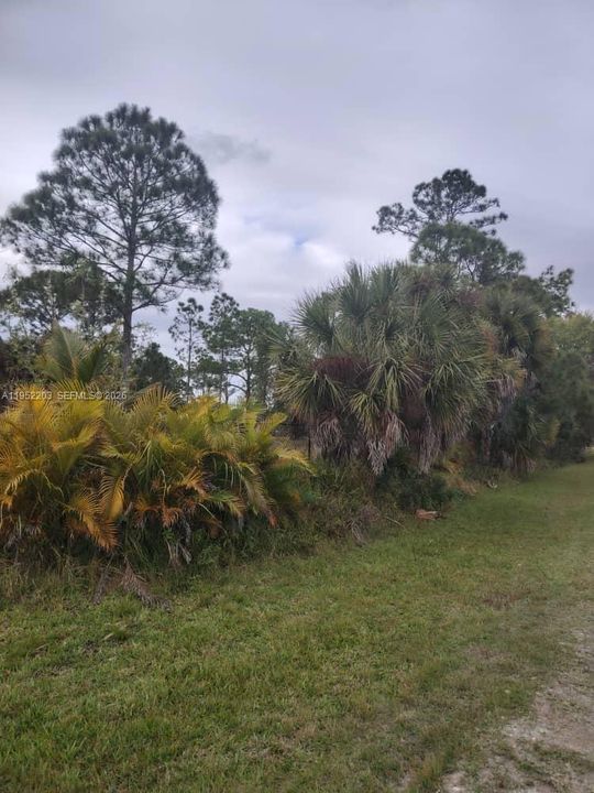 На продажу: $175,000 (2.50 acres)