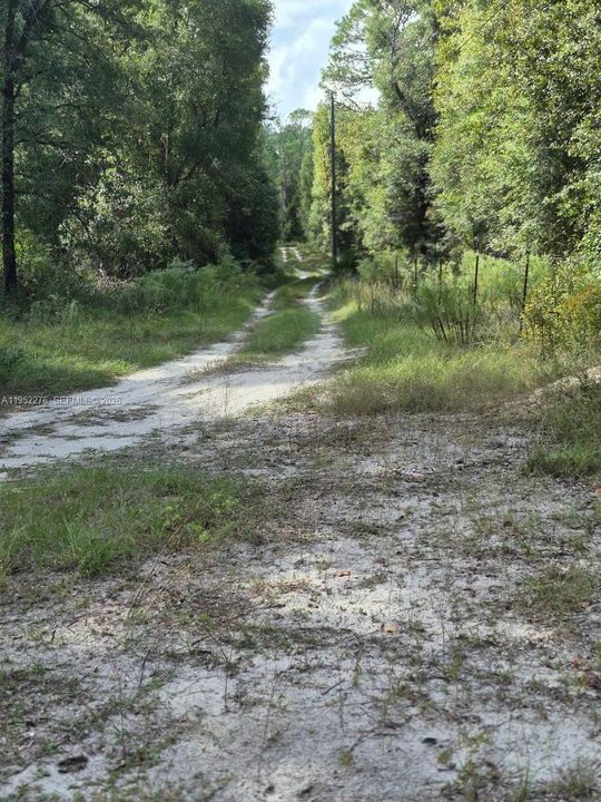 Недавно продано: $160,000 (10.00 acres)