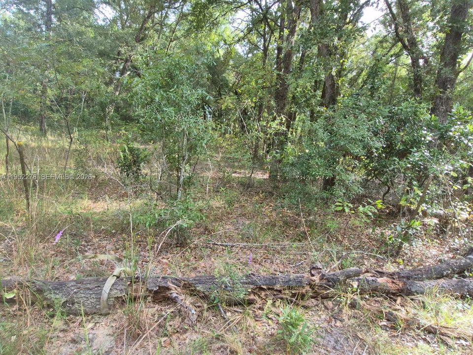 Недавно продано: $160,000 (10.00 acres)