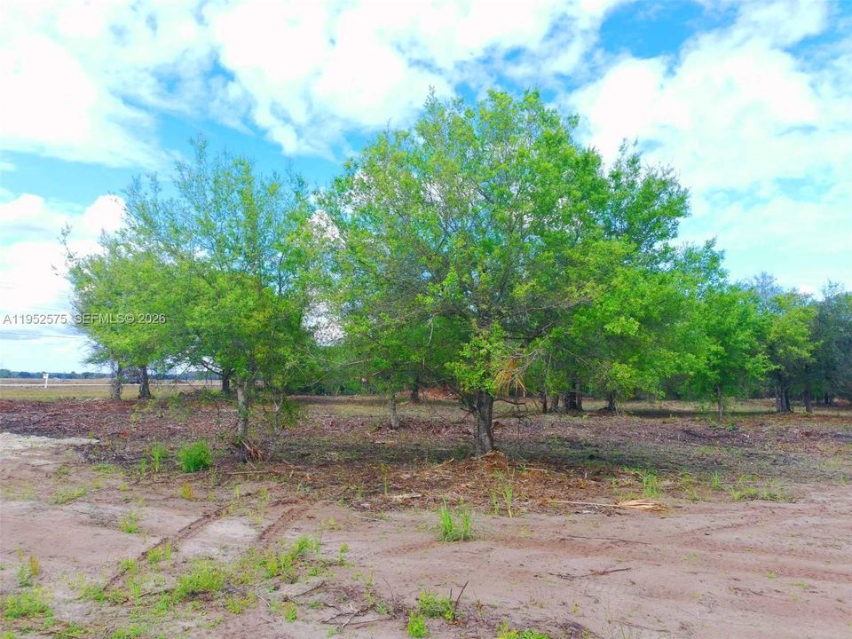 На продажу: $459,000 (5.00 acres)