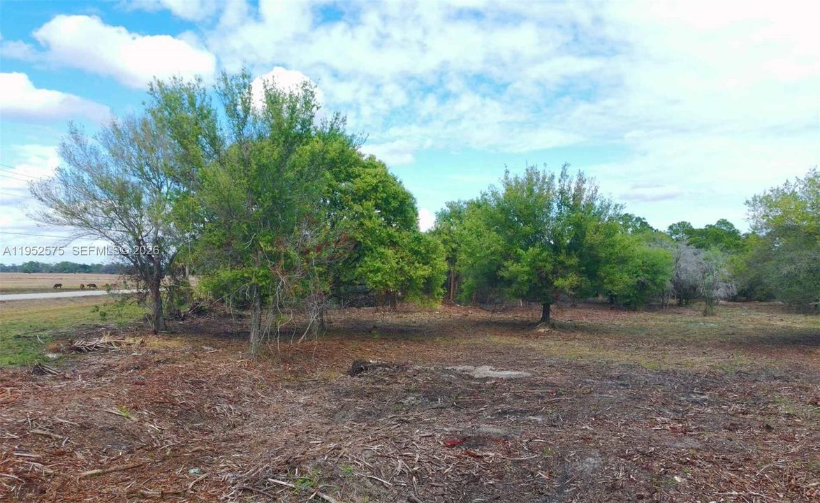 На продажу: $459,000 (5.00 acres)