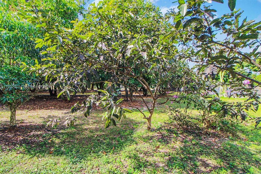 На продажу: $999,900 (3 спален, 2 ванн, 2617 Квадратных фут)