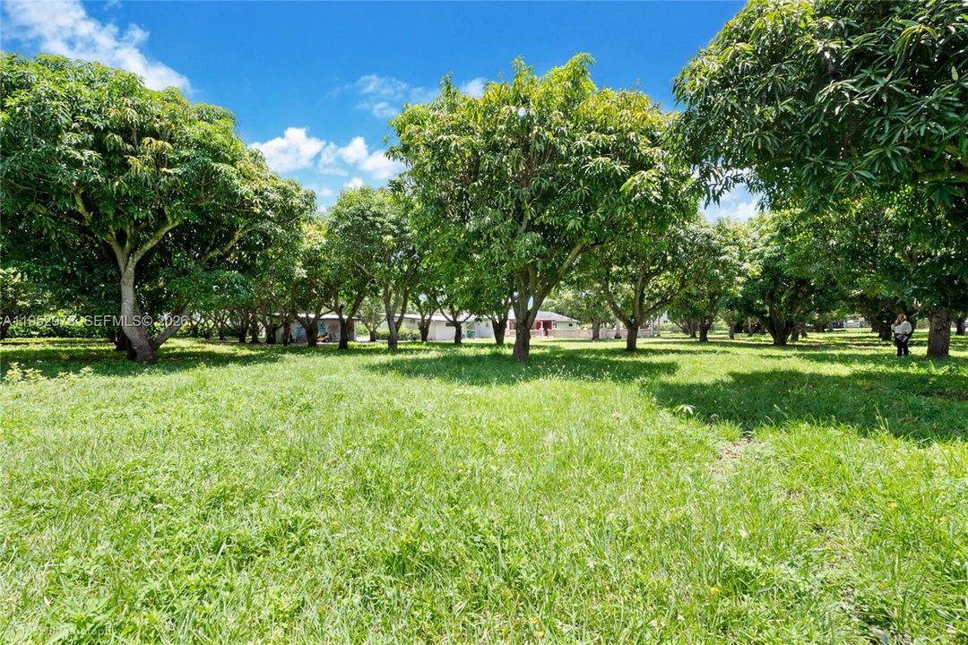 En Venta: $2,599,000 (0 camas, 0 baños, 0 Pies cuadrados)