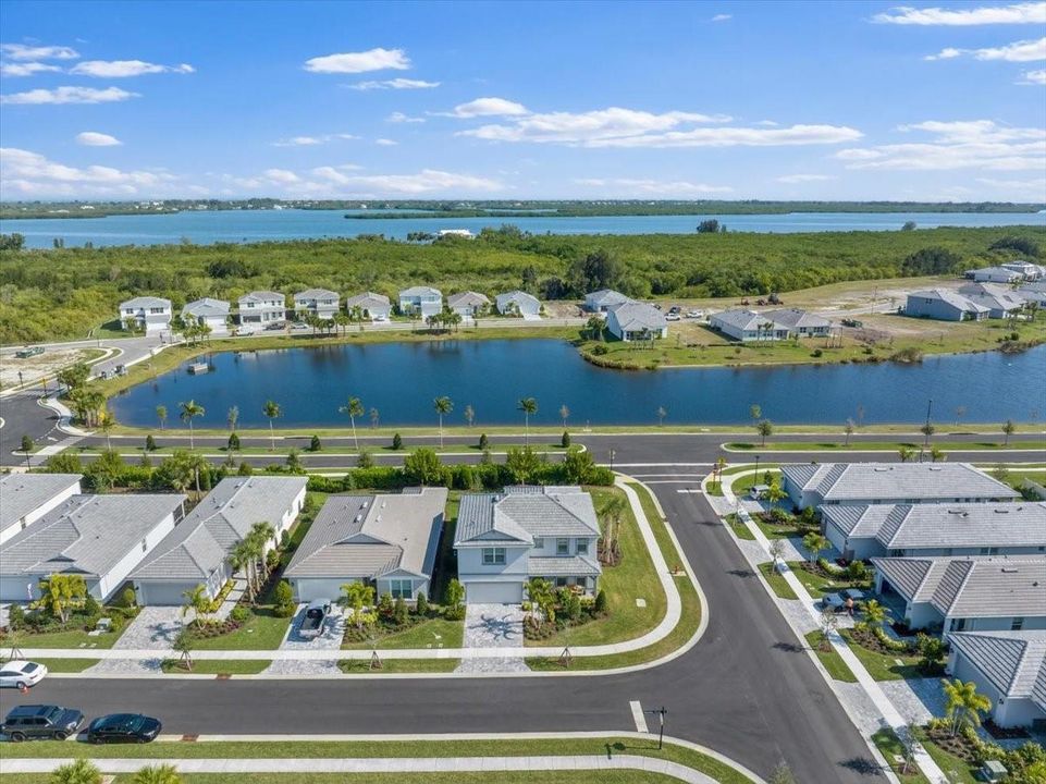 Neighborhood Aerial