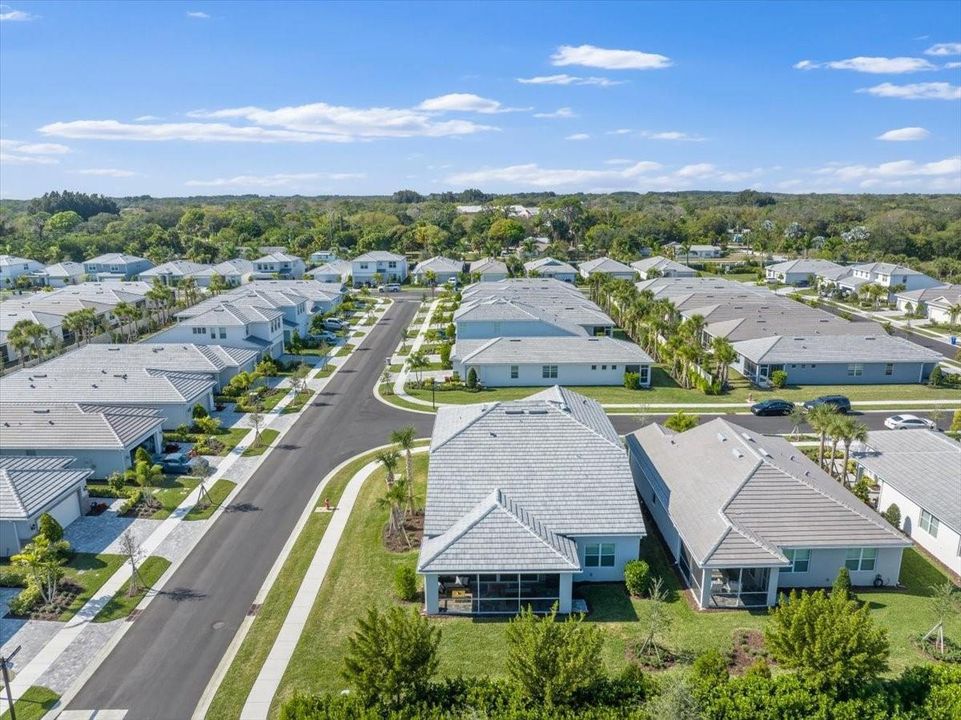Neighborhood Aerial
