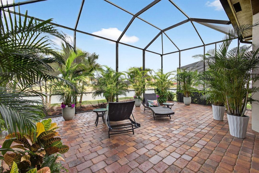 55-web-or-mls-5P1A6427